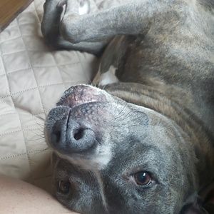 Meet your Posher, Tammi